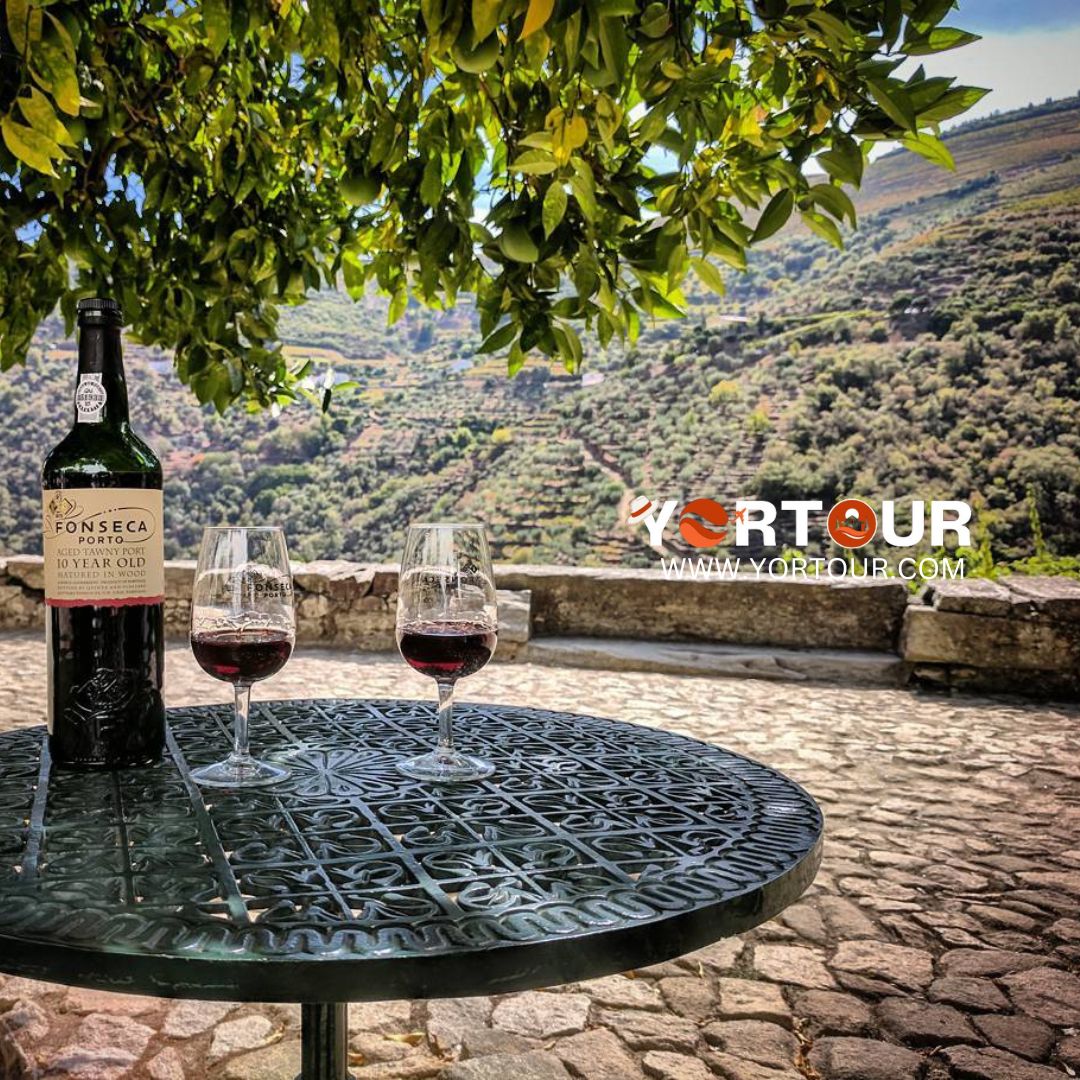 Exploring the Enchanting Douro Valley | A Guide to Portugal Premier Wine Region