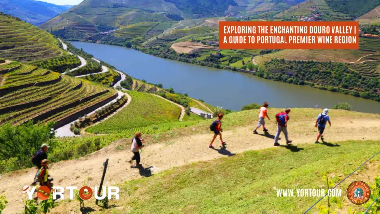 Exploring the Enchanting Douro Valley