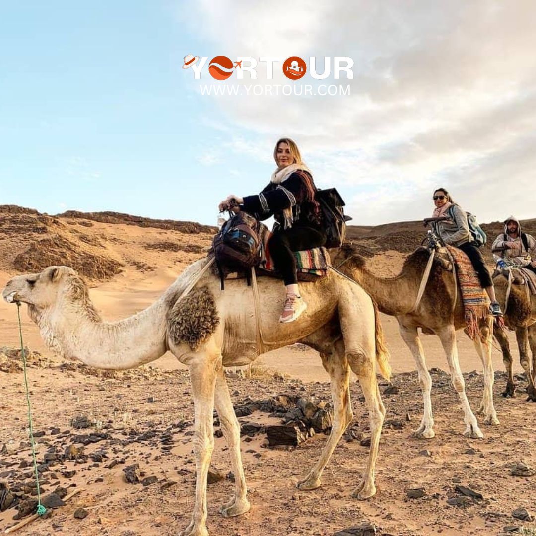 Discovering Ouarzazate | The Doorway to Morocco Sahara